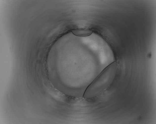 X0000112911249200909071526