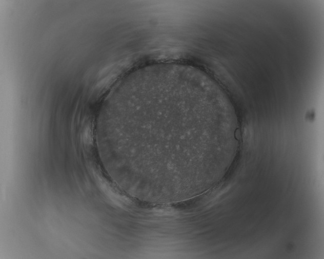 X0000112911250200909071526