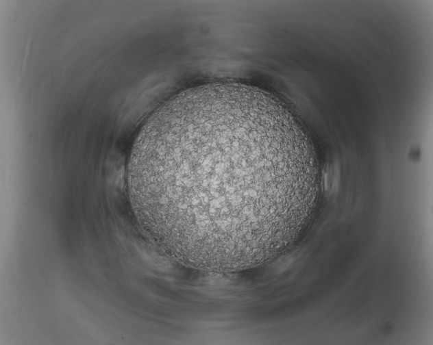 X0000112911251200909071526