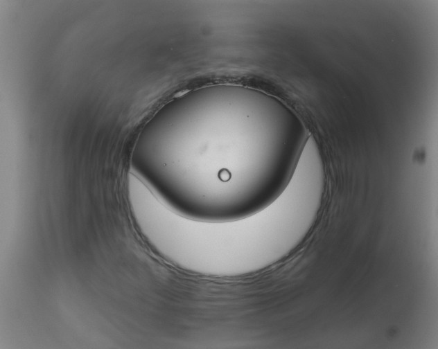 X0000112911252200909071526