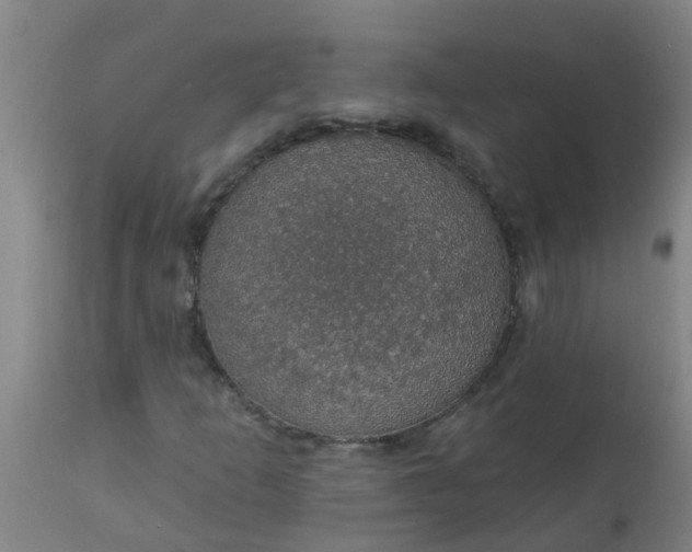 X0000112911253200909071526