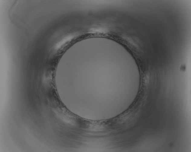 X0000112911254200909071526