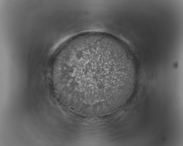 X0000112911255200909071526