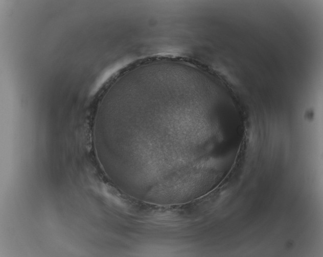 X0000112911256200909071526