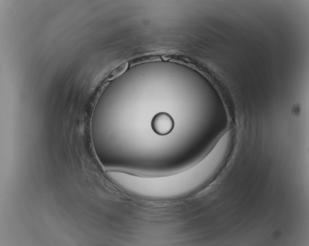 X0000112911257200909071526