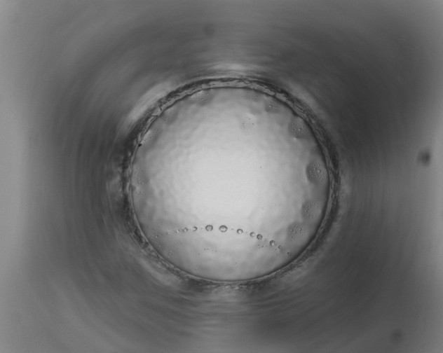 X0000112911259200909071526