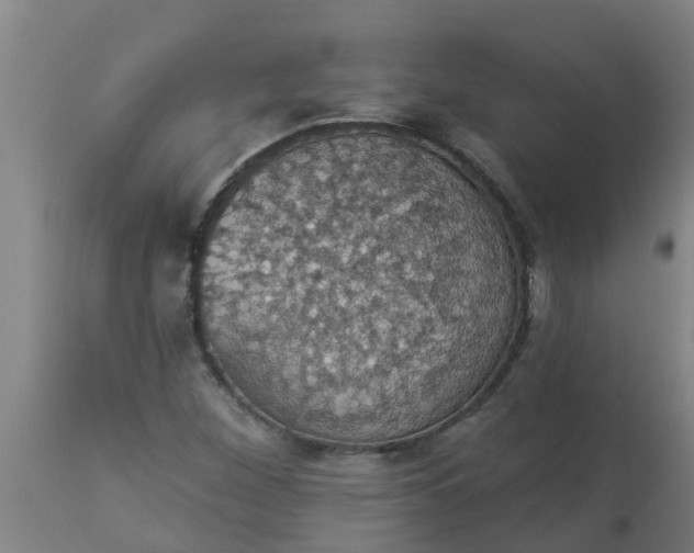 X0000112911260200909071526