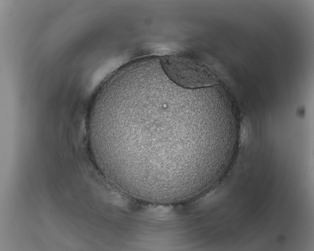 X0000112911261200909071526