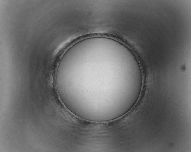 X0000112911262200909071526