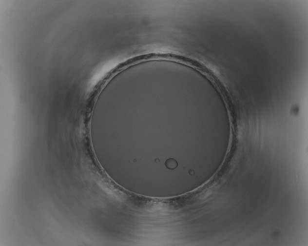 X0000112911263200909071526