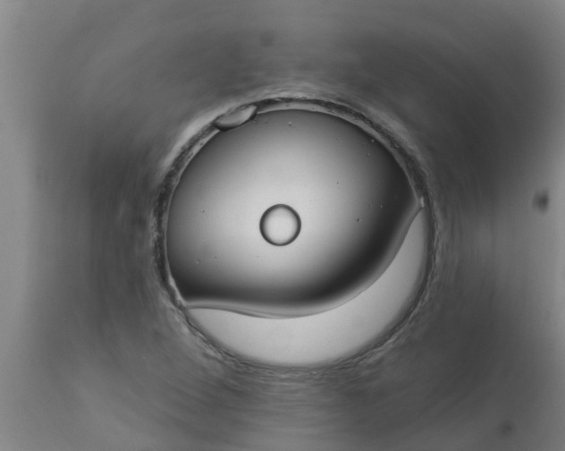 X0000112911264200909071526