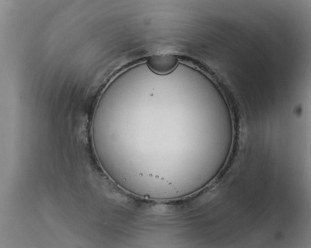 X0000112911265200909071526