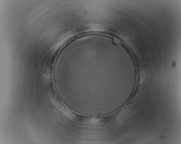 X0000112911266200909071526