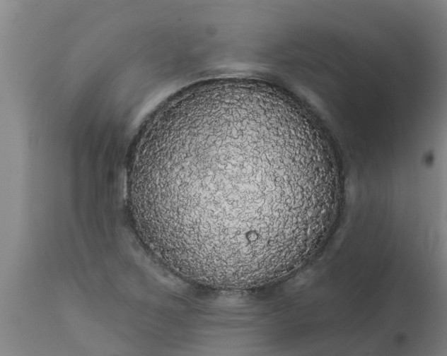 X0000112911267200909071526