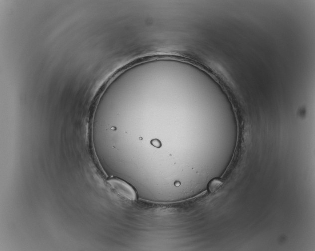 X0000112911268200909071526