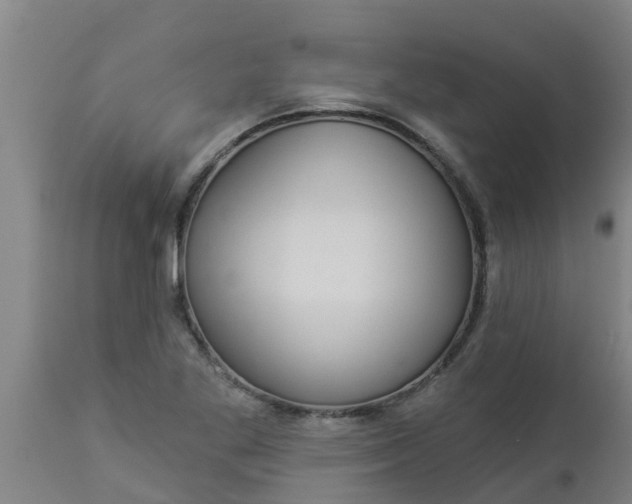 X0000112911269200909071526