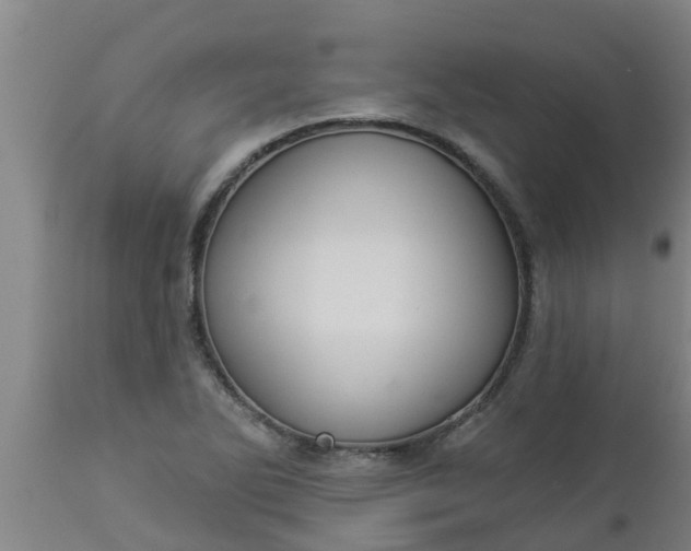 X0000112911270200909071526