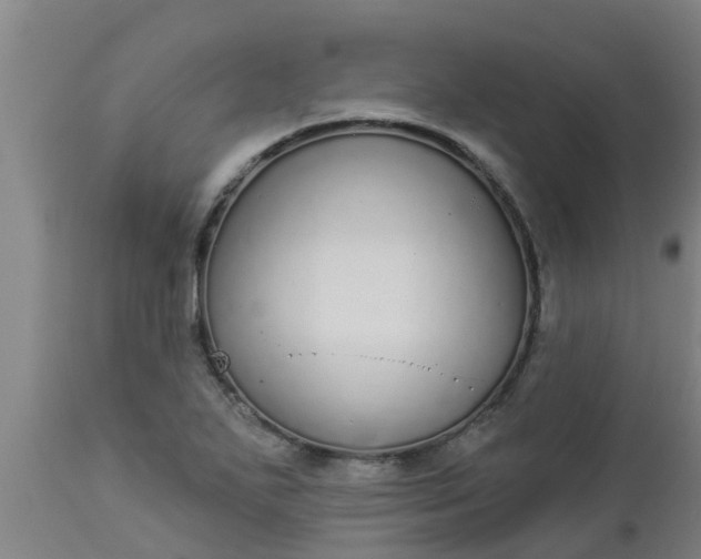 X0000112911271200909071526