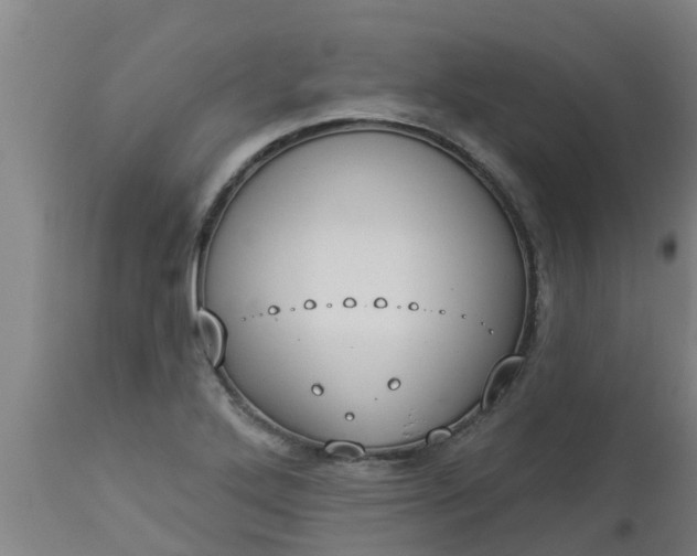 X0000112911272200909071526