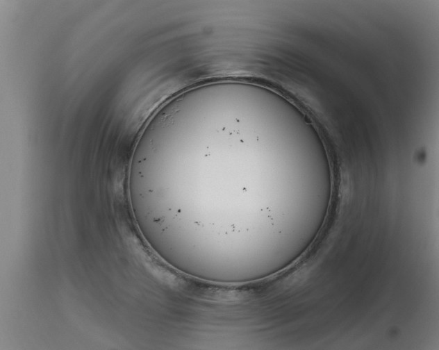 X0000112911273200909071526