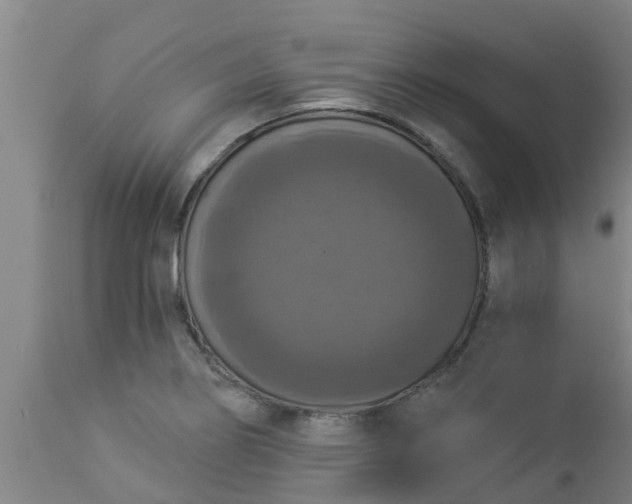 X0000112911274200909071526