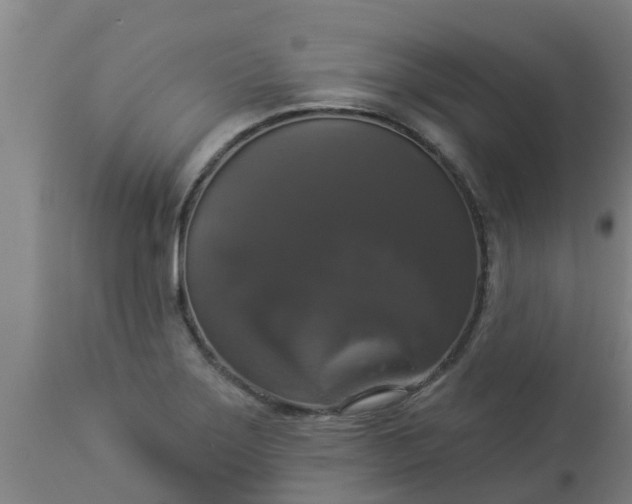 X0000112911275200909071526