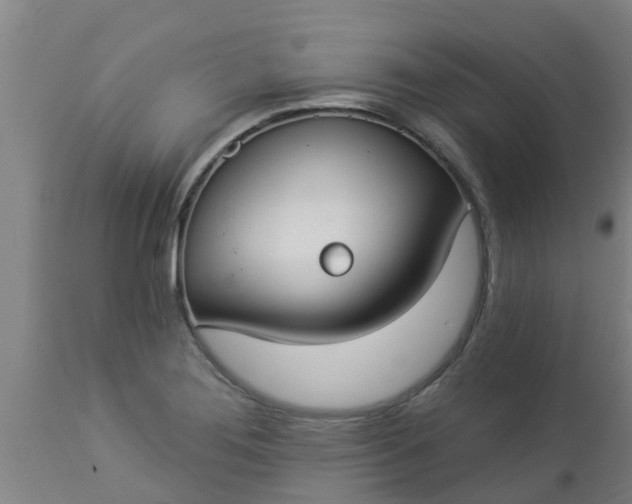 X0000112911276200909071526