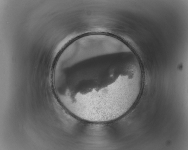 X0000112911278200909071526