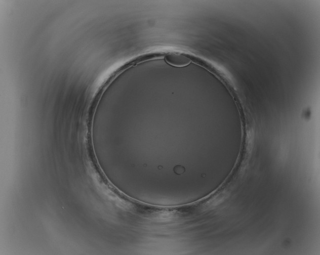 X0000112911279200909071526