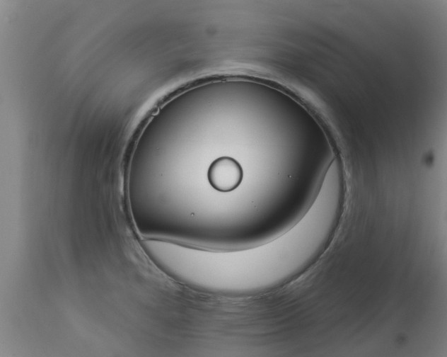 X0000112911280200909071526