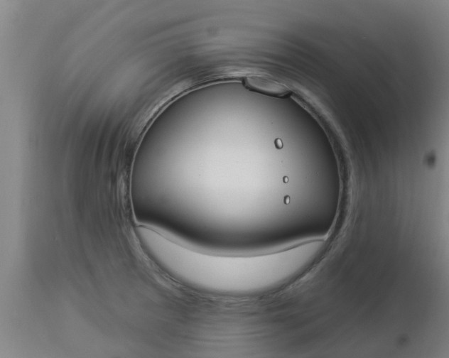 X0000112911281200909071526