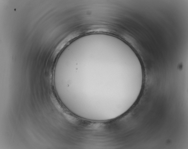 X0000112911282200909071526