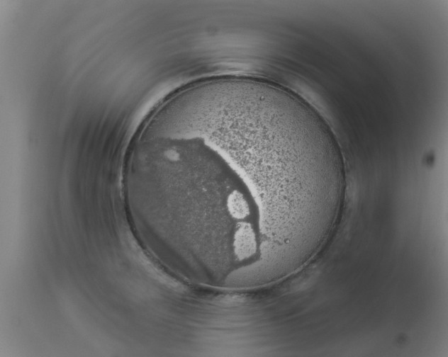 X0000112911283200909071526