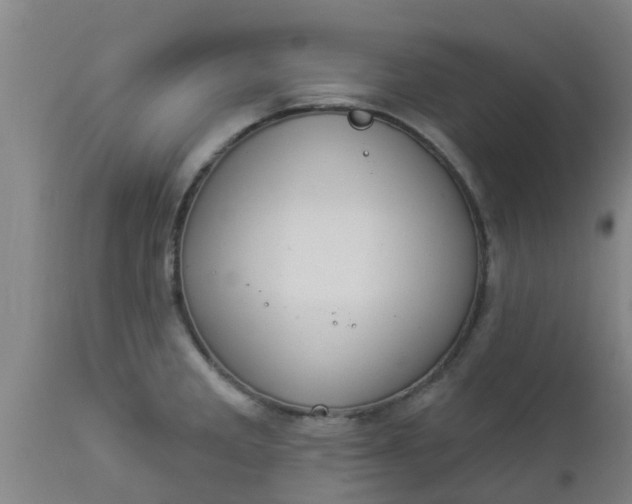 X0000112911285200909071526