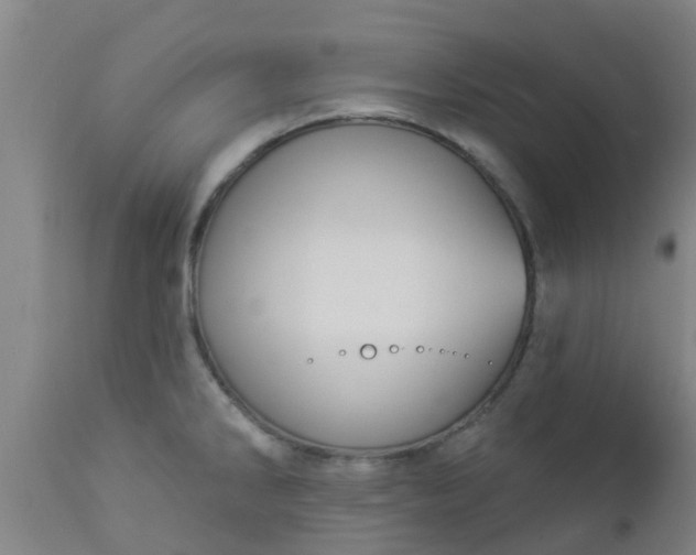 X0000112911286200909071526