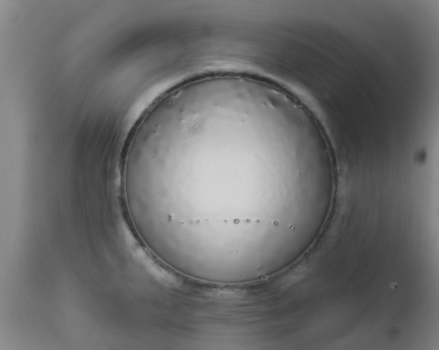 X0000112911287200909071526