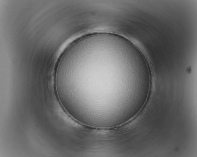 X0000112911288200909071526