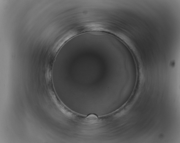 X0000112911289200909071526