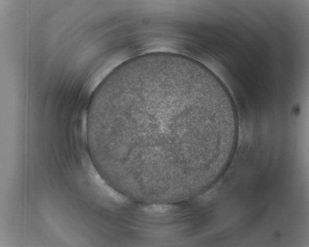 X0000112911290200909071526