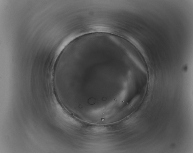 X0000112911291200909071526