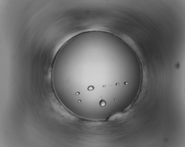 X0000112911292200909071526