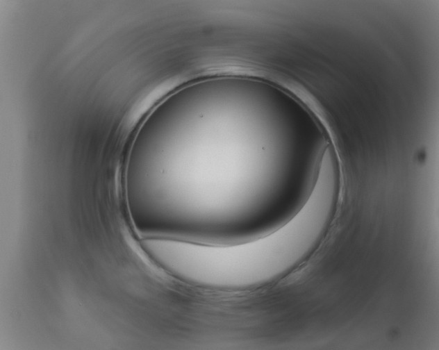 X0000112911293200909071526