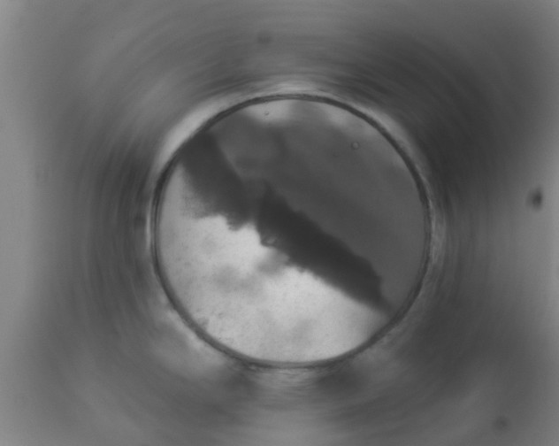 X0000112911294200909071526