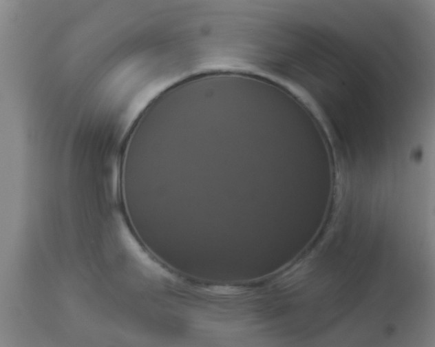 X0000112911295200909071526