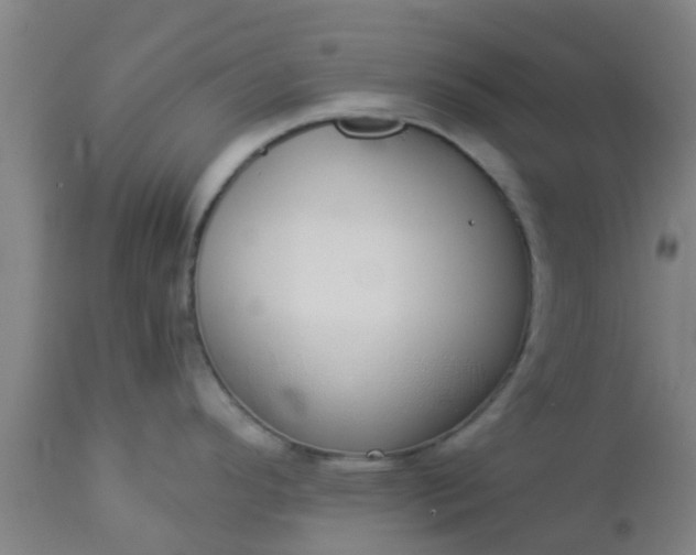 X0000112911296200909071526