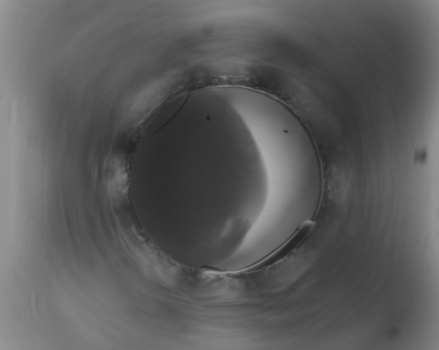 X0000112911298200909071525