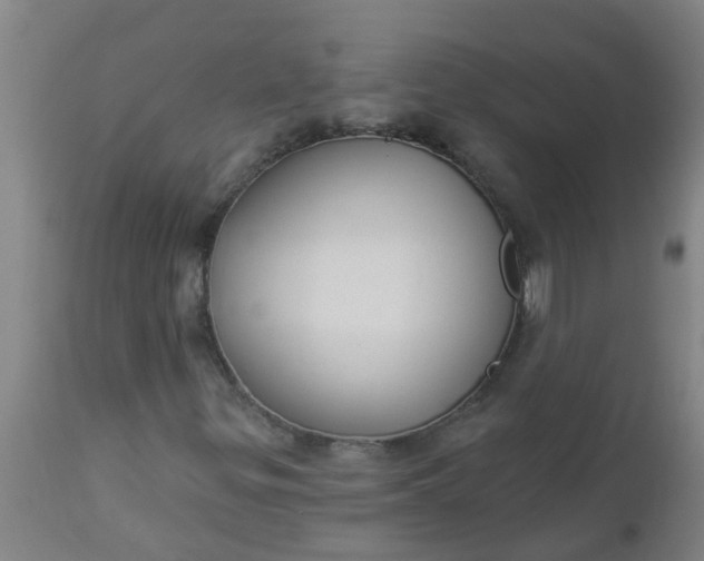 X0000112911299200909071525