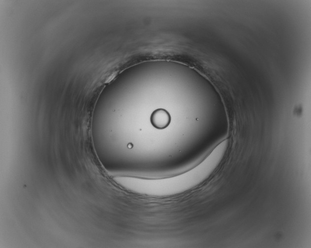 X0000112911300200909071525