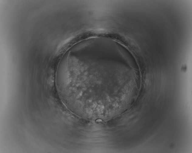 X0000112911301200909071525