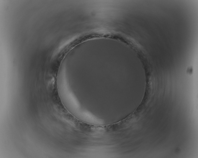 X0000112911302200909071525